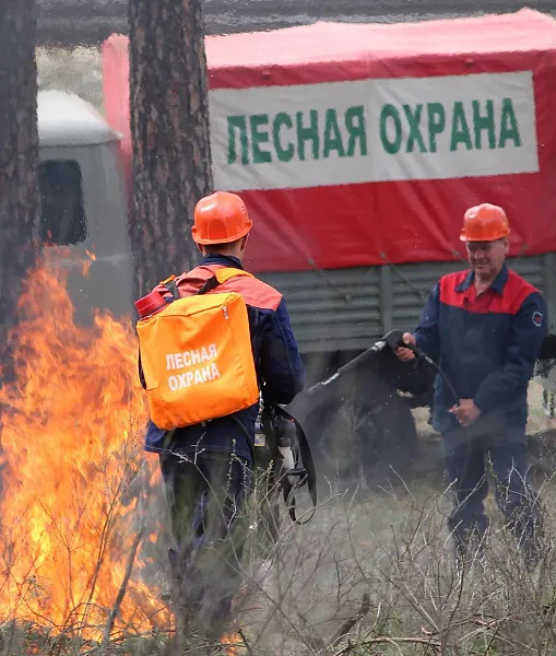 В&nbsp;Самарской области прошли учения по&nbsp;тушению лесных пожаров