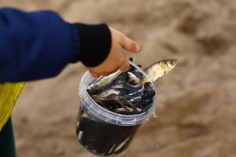 В&nbsp;Саратовской области начался восьмой сезон экопроекта &laquo;Водорослям крышка!&raquo;