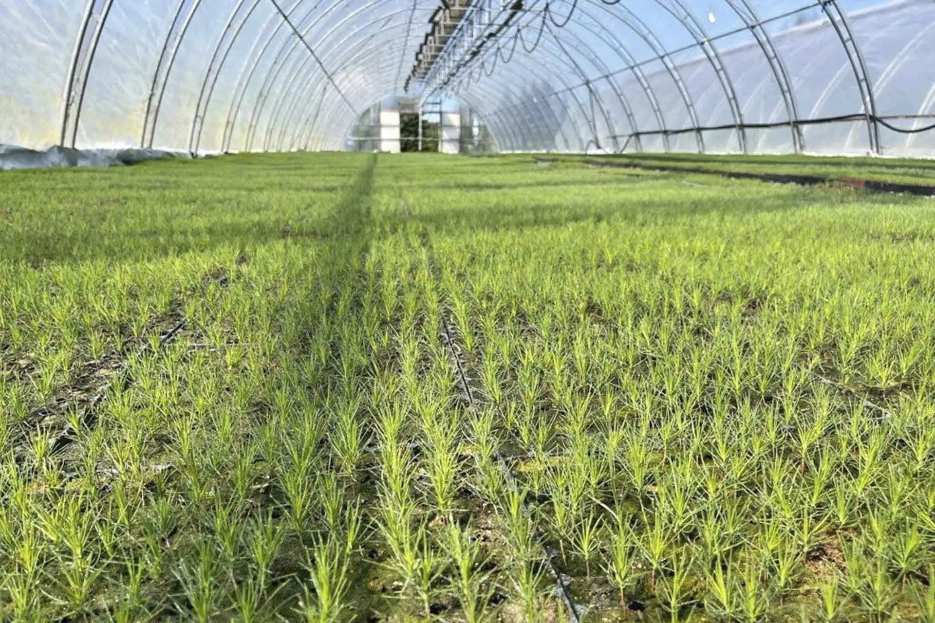 Пресс-служба Главы и Администрации Республики Карелия