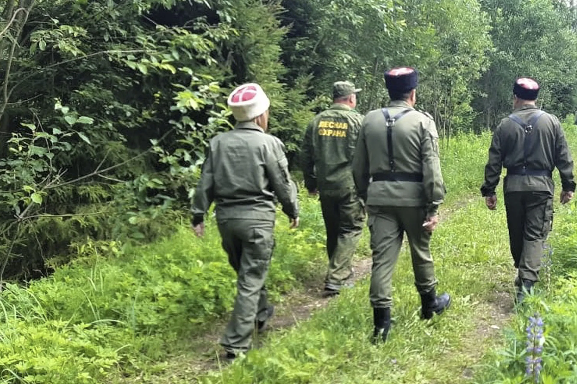 Министерство информации и молодежной политики Московской области