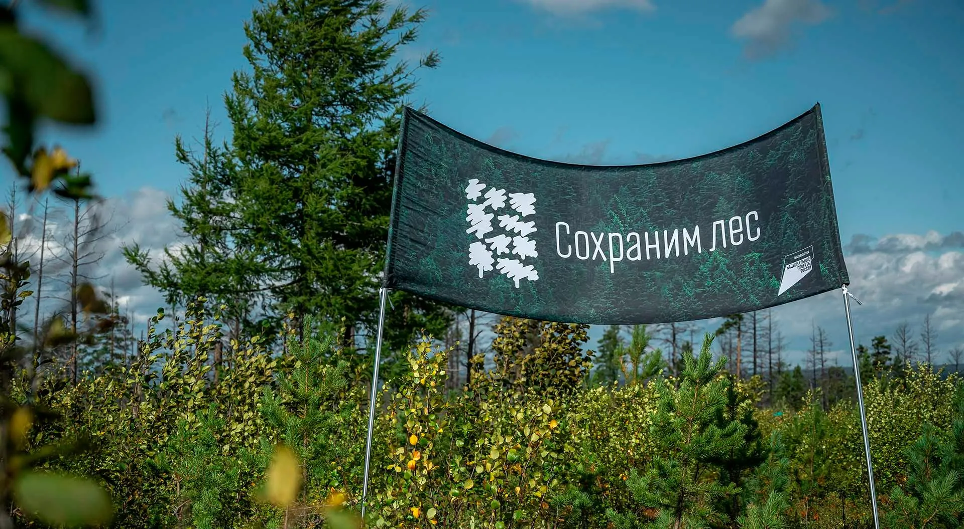 Павел Усаченко/РИА Новости