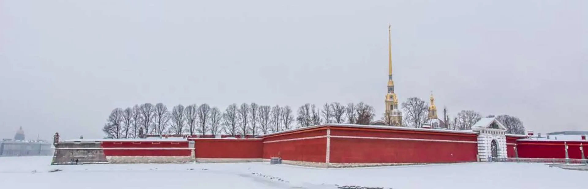 Институт культурных программ/Ирина Иванова