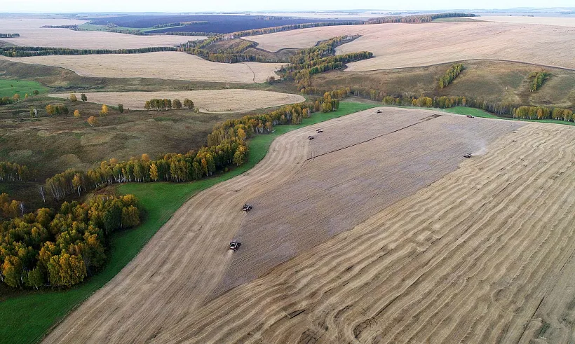 На&nbsp;Дону в&nbsp;2025&nbsp;году от&nbsp;мусора очистили более 18&nbsp;га&nbsp;сельхозучастков