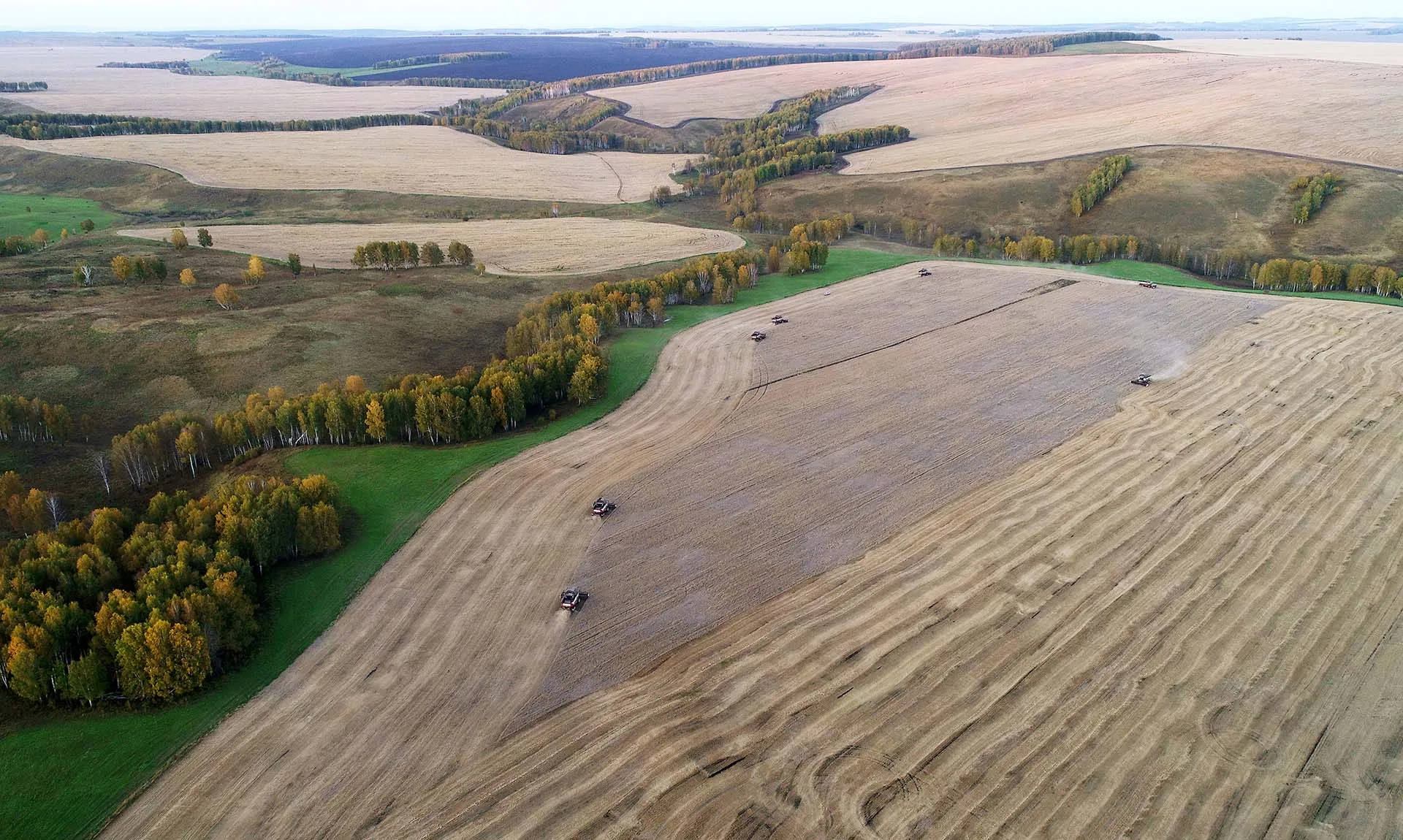 Илья Наймушин/РИА Новости 