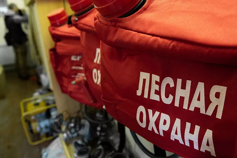 Два болотохода поступят в&nbsp;лесные хозяйства Ростовской области