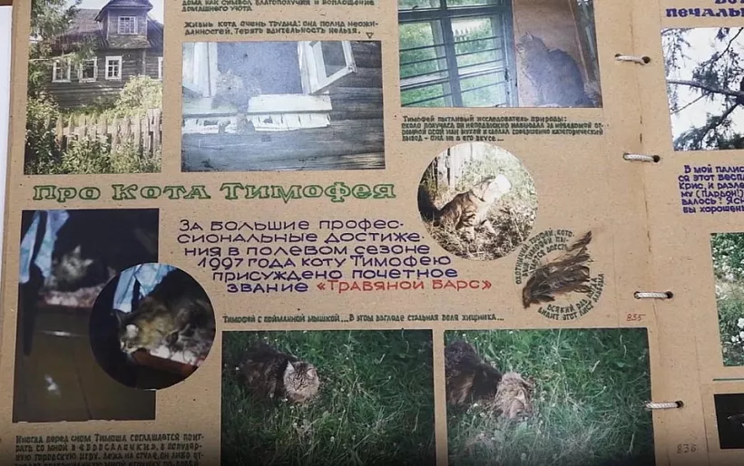 В&nbsp;Санкт-Петербурге организовали выставку редких архивных материалов