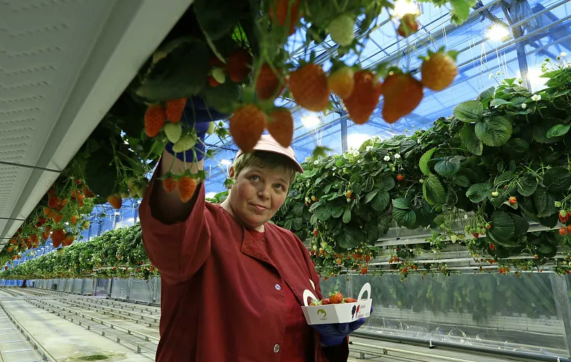 В&nbsp;Саратовской области впервые проходит этап конкурса &laquo;Женщины в&nbsp;АПК&raquo;