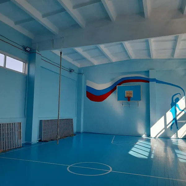 В&nbsp;спортзалах десяти школ Омской области пройдет ремонт