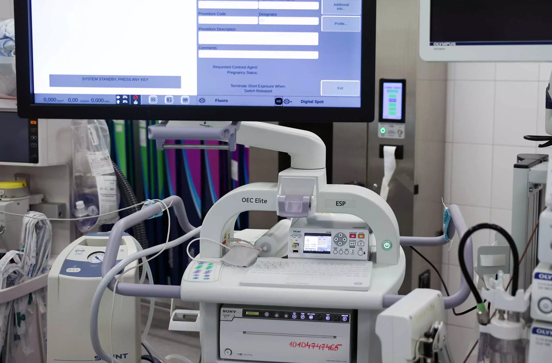 Виталий Тимкив/РИА Новости