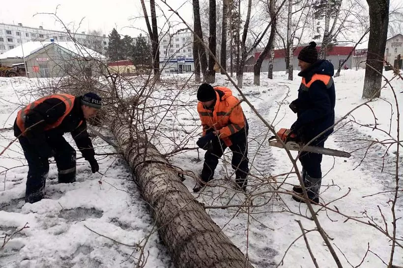 В&nbsp;Калтане Кемеровской области благоустроят сквер у&nbsp;кинотеатра &laquo;Молодежный&raquo;