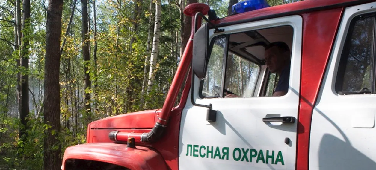 Департамент лесного комплекса Кузбасса
