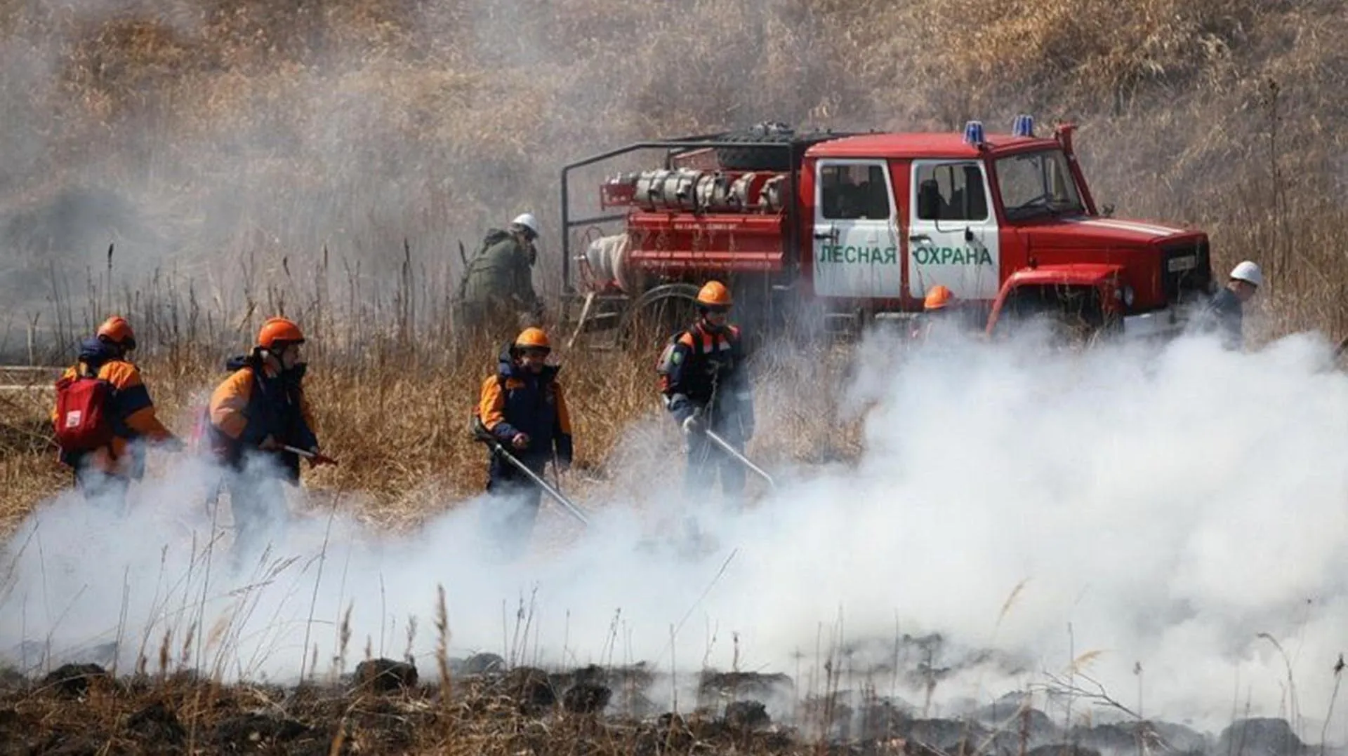 Министерство природных ресурсов и экологии Калужской области