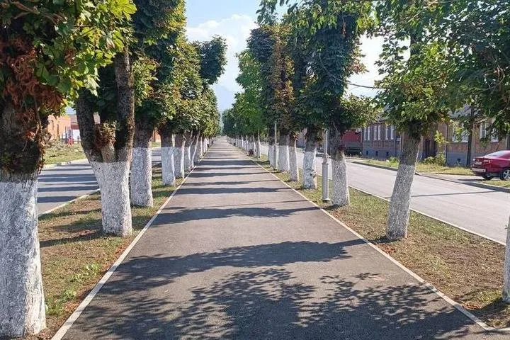 В&nbsp;Алагире Северной Осетии начался новый этап реконструкции Каштановой аллеи