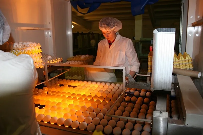 Компания в&nbsp;Ленинградской области увеличила производительность труда на&nbsp;13%