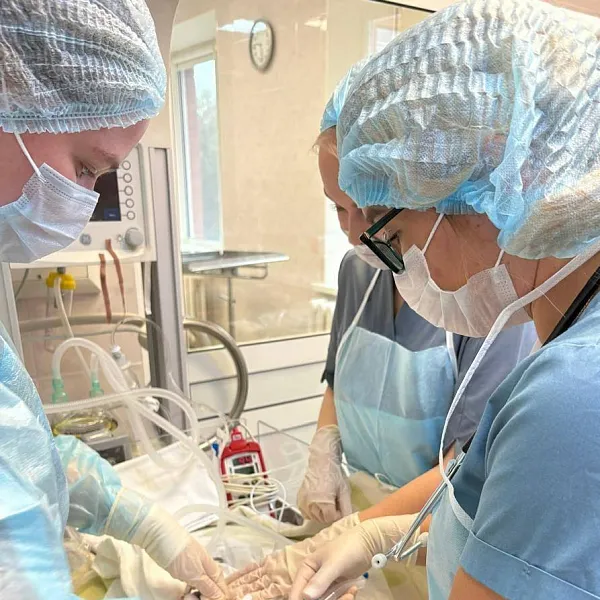 В&nbsp;перинатальном центре в&nbsp;Удмуртии спасли новорожденную весом 440&nbsp;граммов