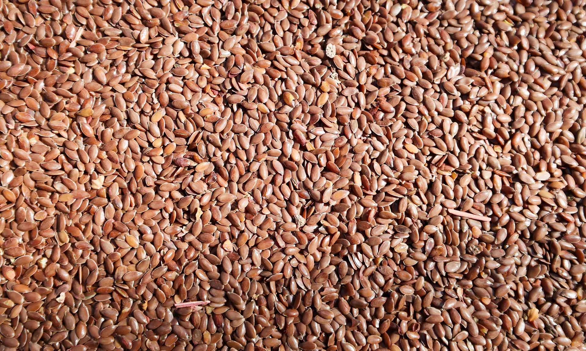 Александр Река/ТАСС