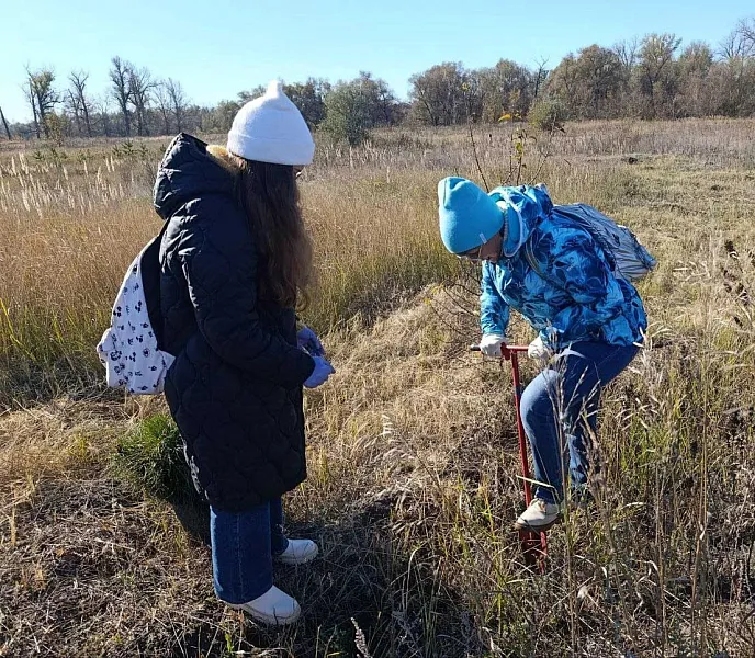В&nbsp;селе Красный Яр в&nbsp;Самарской области высадили сосны