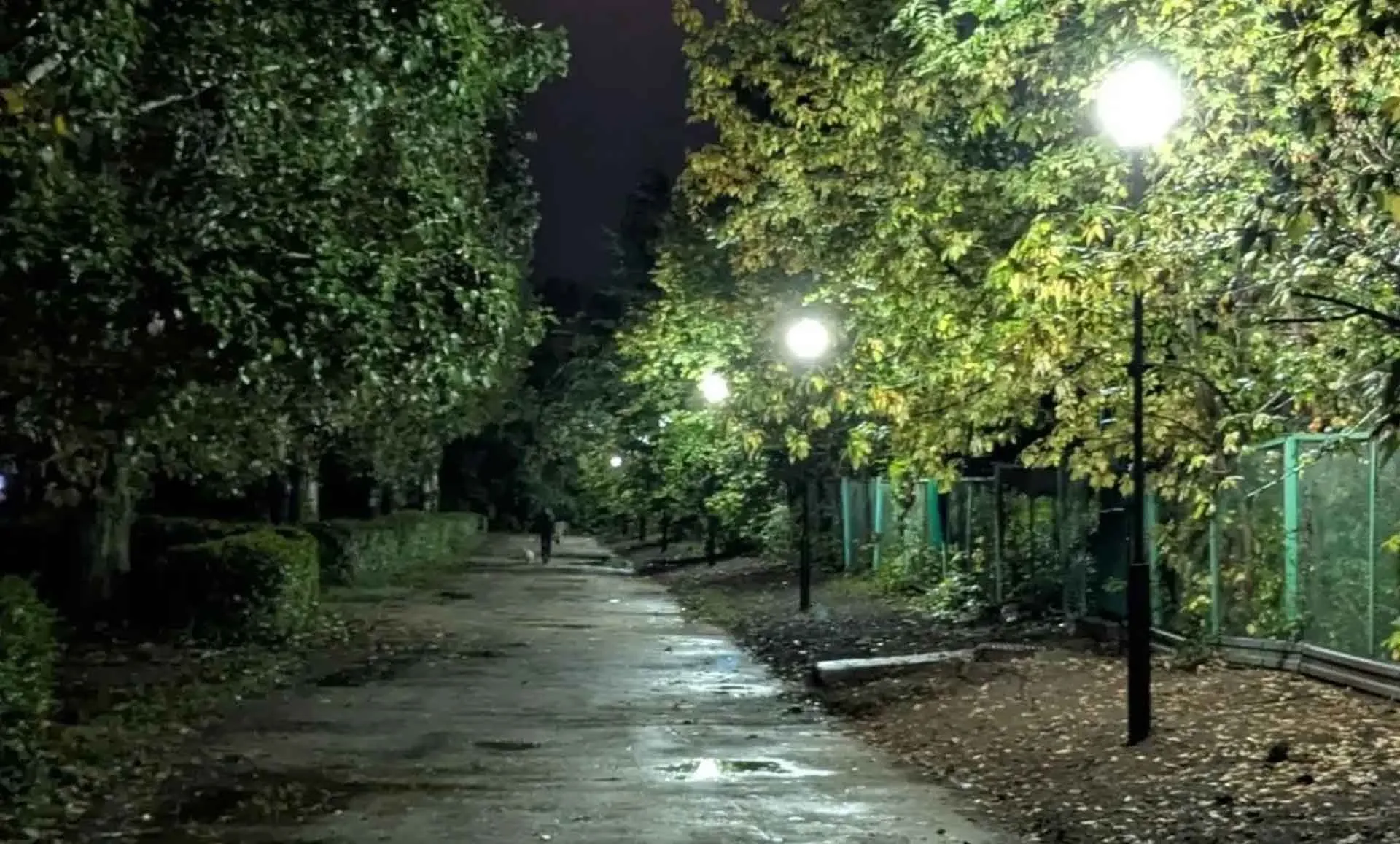 Администрация городского округа Тольятти