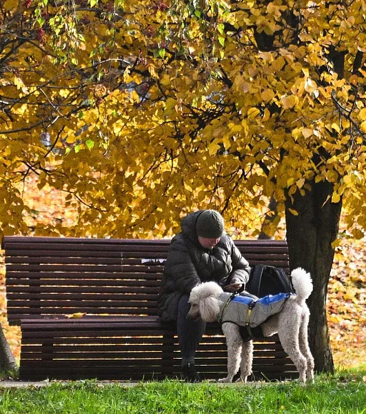 На&nbsp;Кубани в&nbsp;станице Чепигинской завершили благоустройство сквера