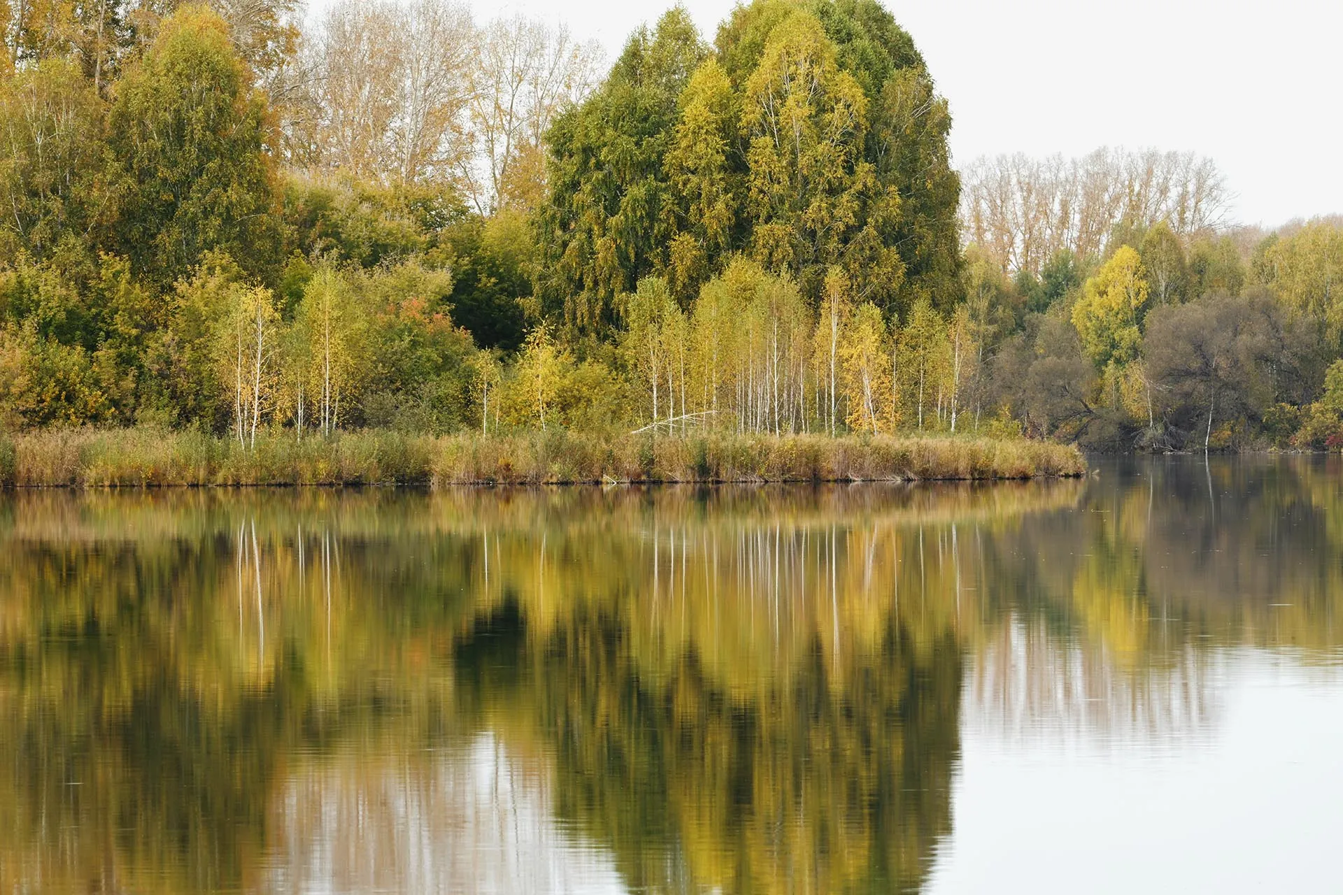 Владимир Вяткин/РИА Новости