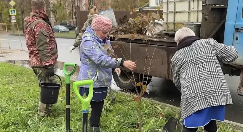 В&nbsp;Костроме высадили более 1100&nbsp;деревьев и&nbsp;кустарников