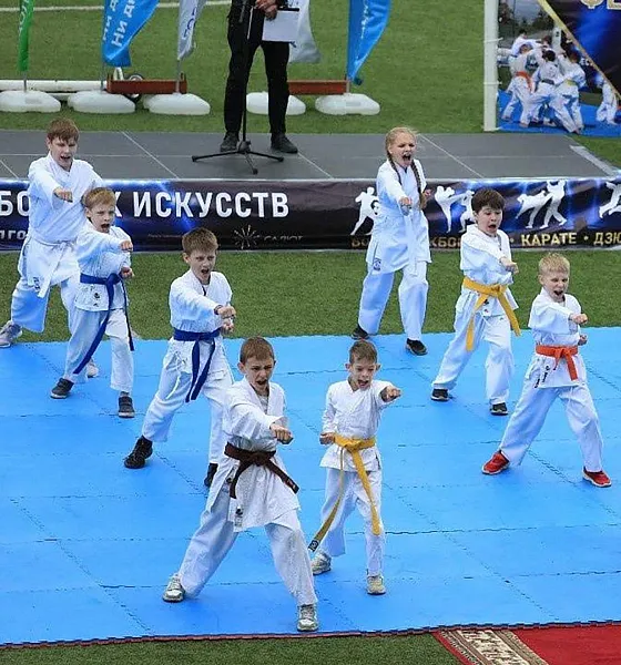 В&nbsp;Подмосковье пройдет международный фестиваль спортивных единоборств