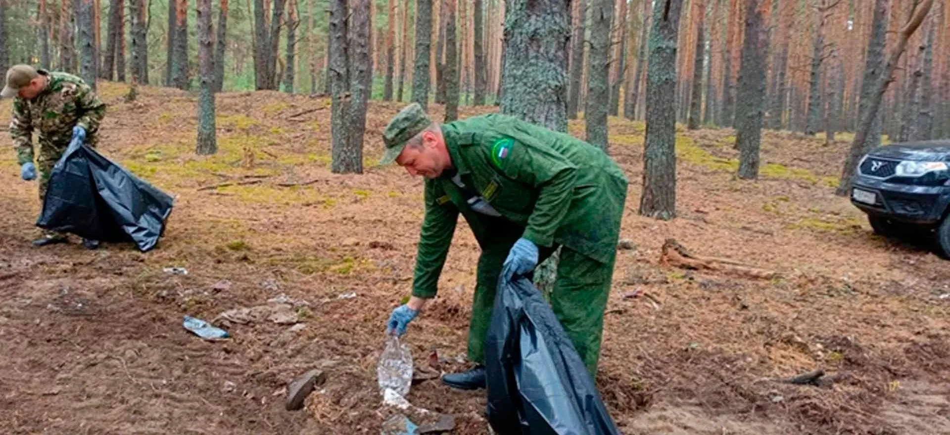 Министерство лесного хозяйства Владимирской области