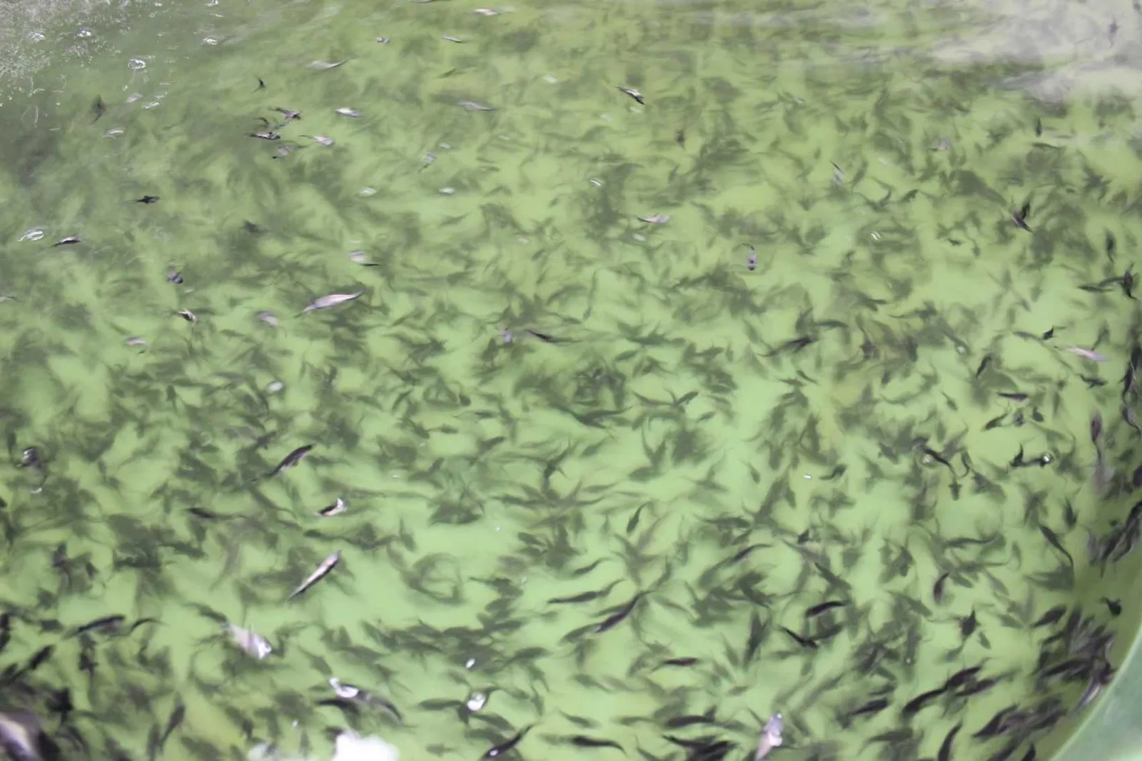 Министерство региональной политики и массовых коммуникаций Ростовской области