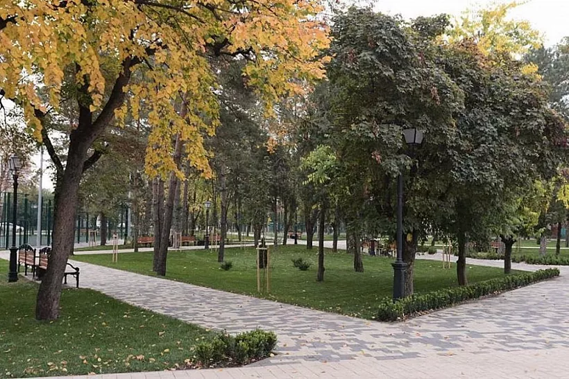На&nbsp;Кубани благоустроили более 120&nbsp;зеленых зон