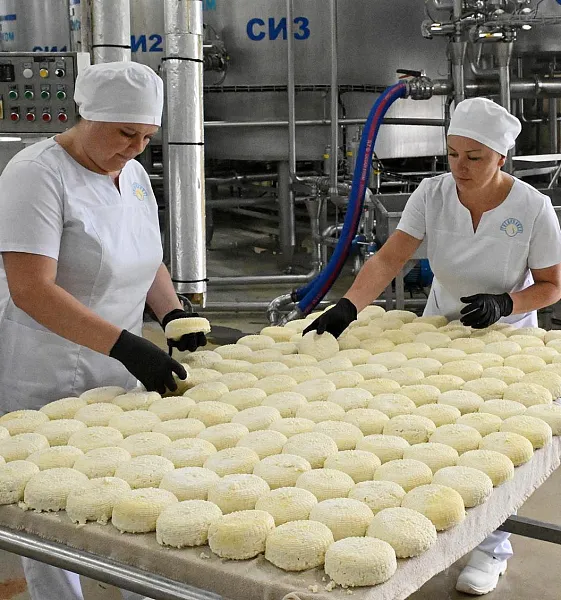 Новые рекорды в&nbsp;экспорте установил Ставропольский край