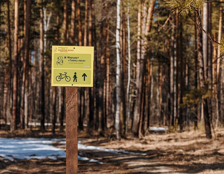 В&nbsp;Свердловской области открыли новый туристический маршрут &laquo;Тайны леса&raquo;