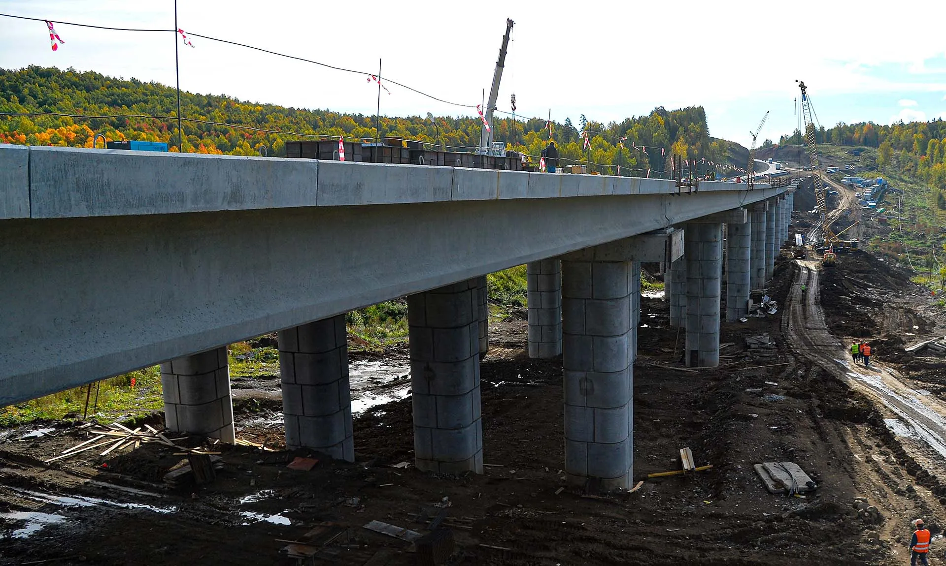 Александр Кондратюк/РИА Новости 