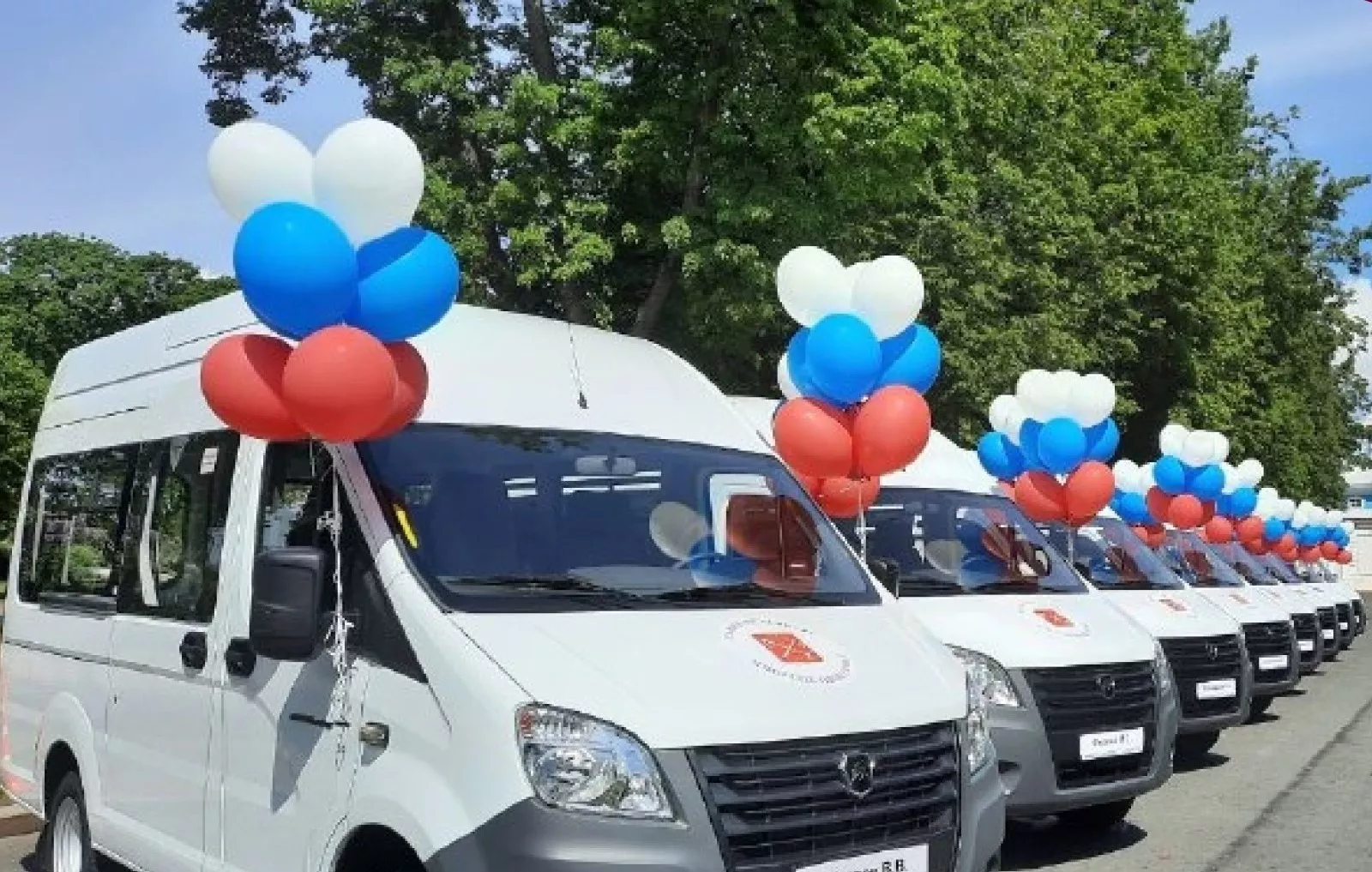 Комитет по социальной политике Санкт-Петербурга