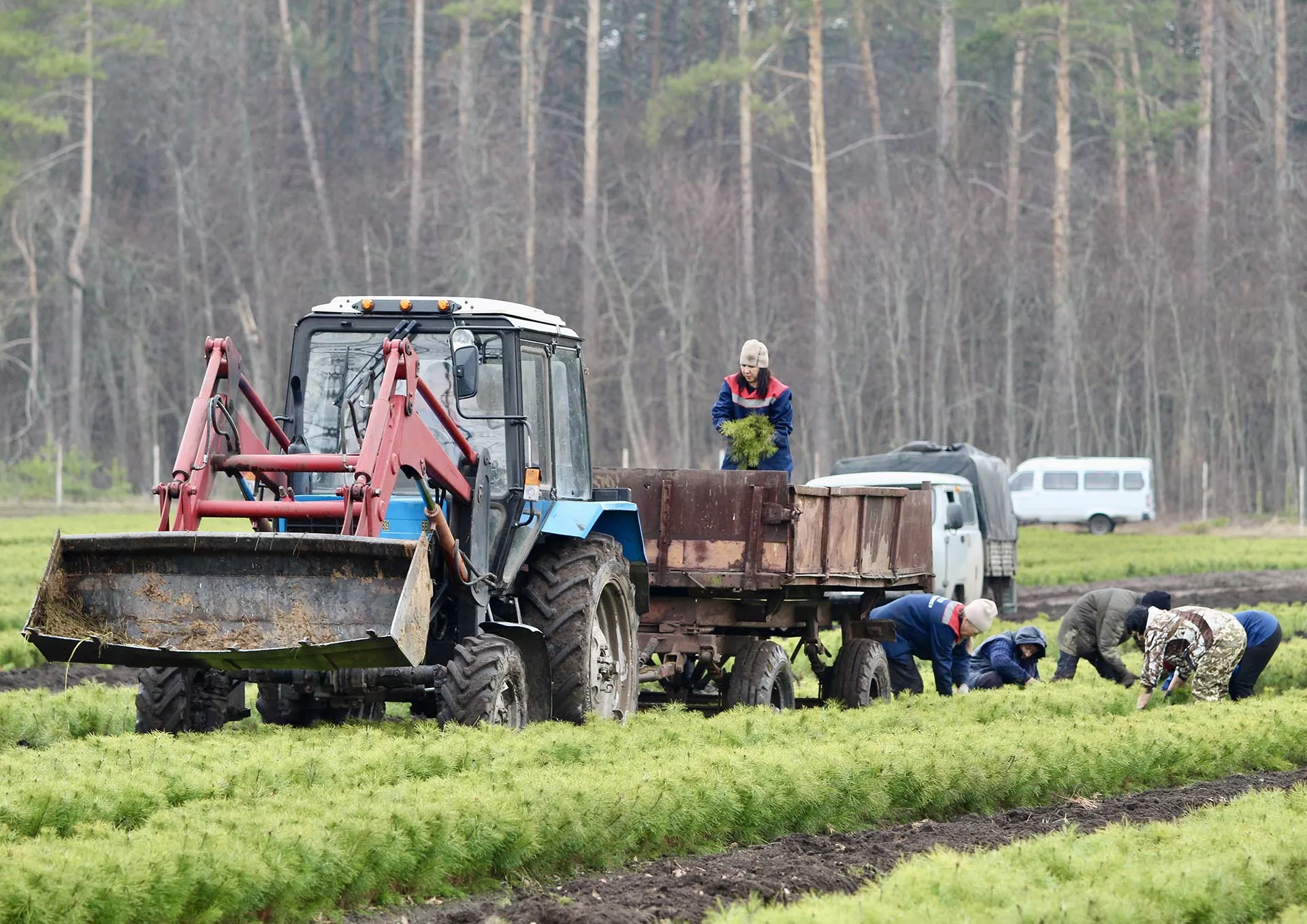 Министерство лесного хозяйства, охраны окружающей среды и природопользования Самарской области