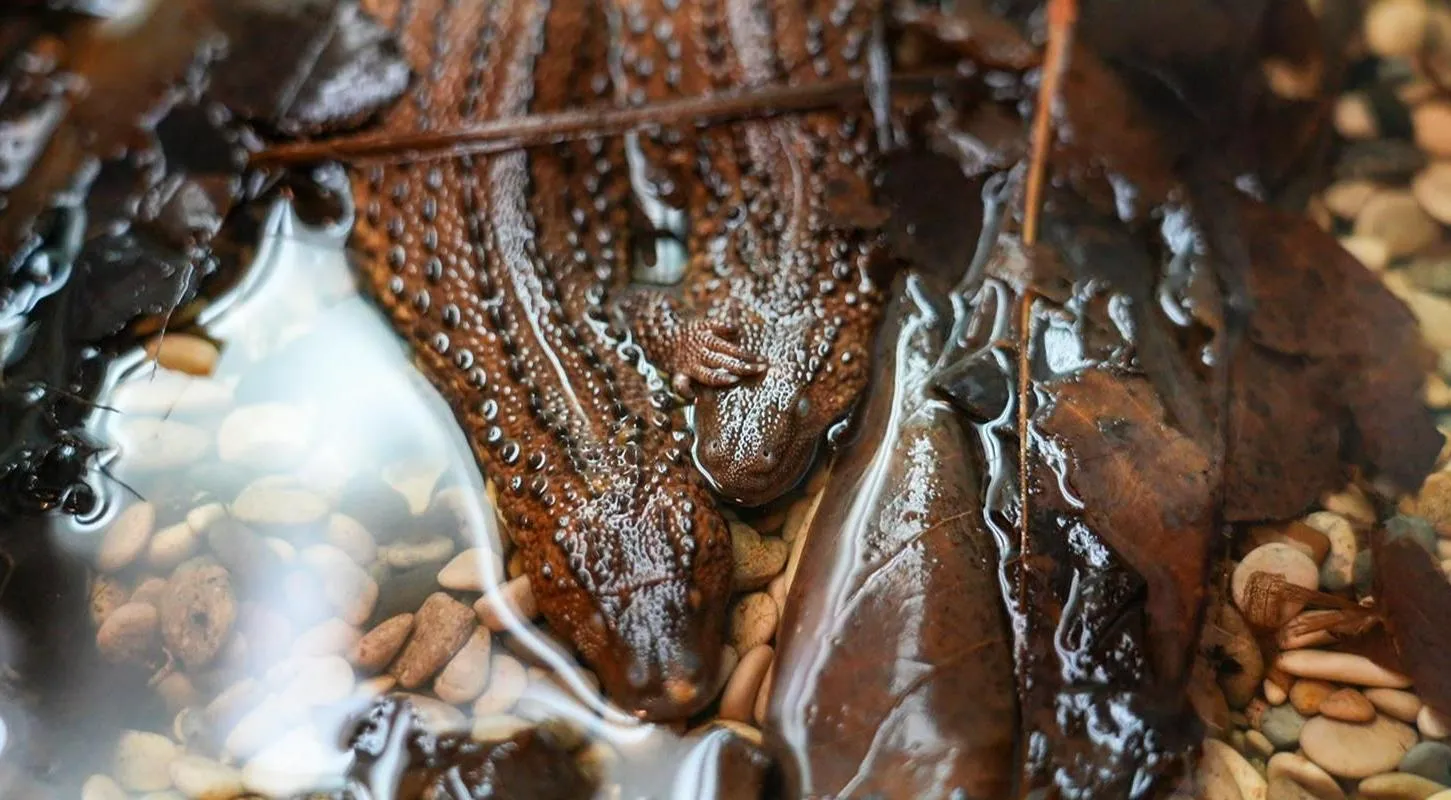 Департамент экономической политики и развития г. Москвы