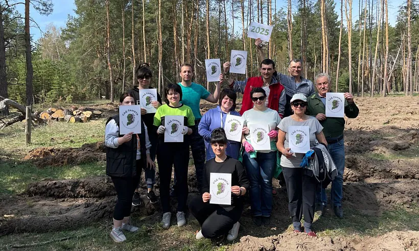 Возле деревни Красовки в&nbsp;Воронежской области высадили тысячу сосен
