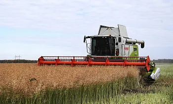 Залог продовольственной безопасности: экспертный доклад