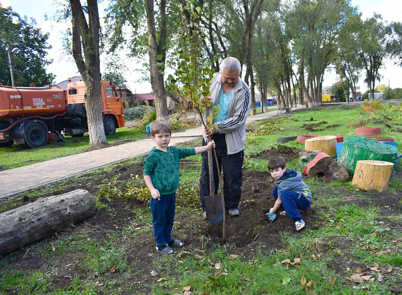 В&nbsp;парке Кущевского района Краснодарского края высадили 300&nbsp;берез