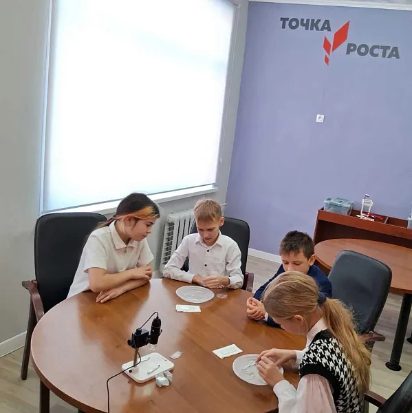 В&nbsp;Барановской школе Курской области прошел практикум по&nbsp;биологии