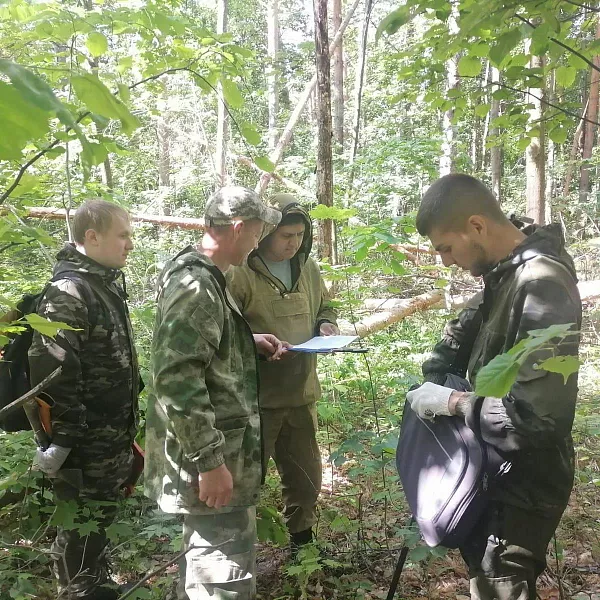 В&nbsp;Ульяновской области обследовали около 4,7&nbsp;тысячи гектаров леса