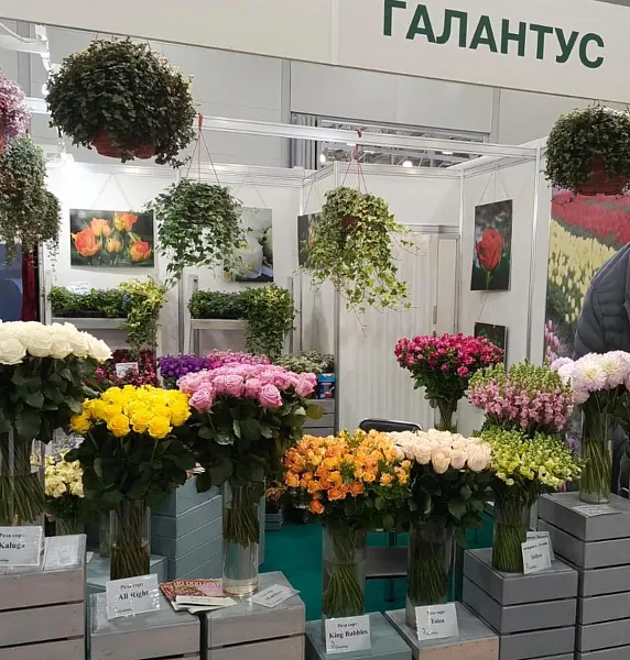 Компании Калужской области приняли участие в&nbsp;выставке &laquo;ЦветыЭкс<span class="nobr">по-2025</span>&raquo;