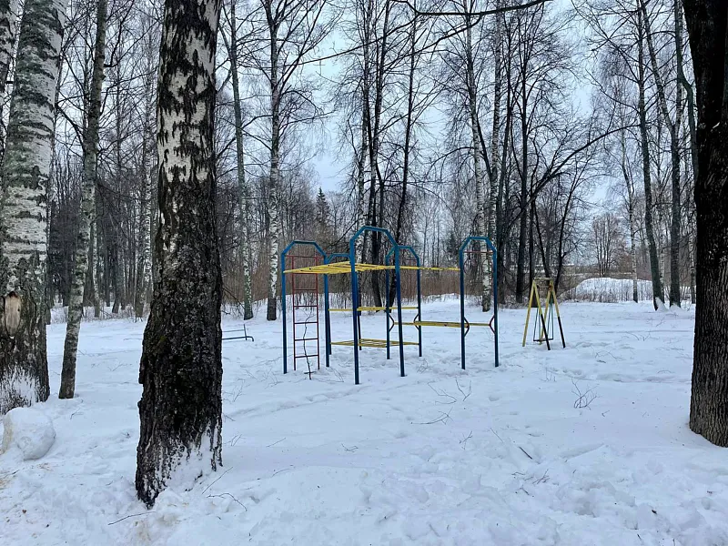 Еще&nbsp;один парк для&nbsp;отдыха семей с&nbsp;детьми будет создан в&nbsp;Костроме