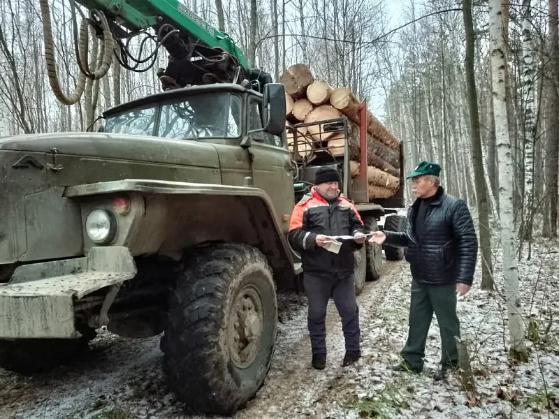В&nbsp;Пензенской области началась акция по&nbsp;охране лесов &laquo;Лесовоз&raquo;