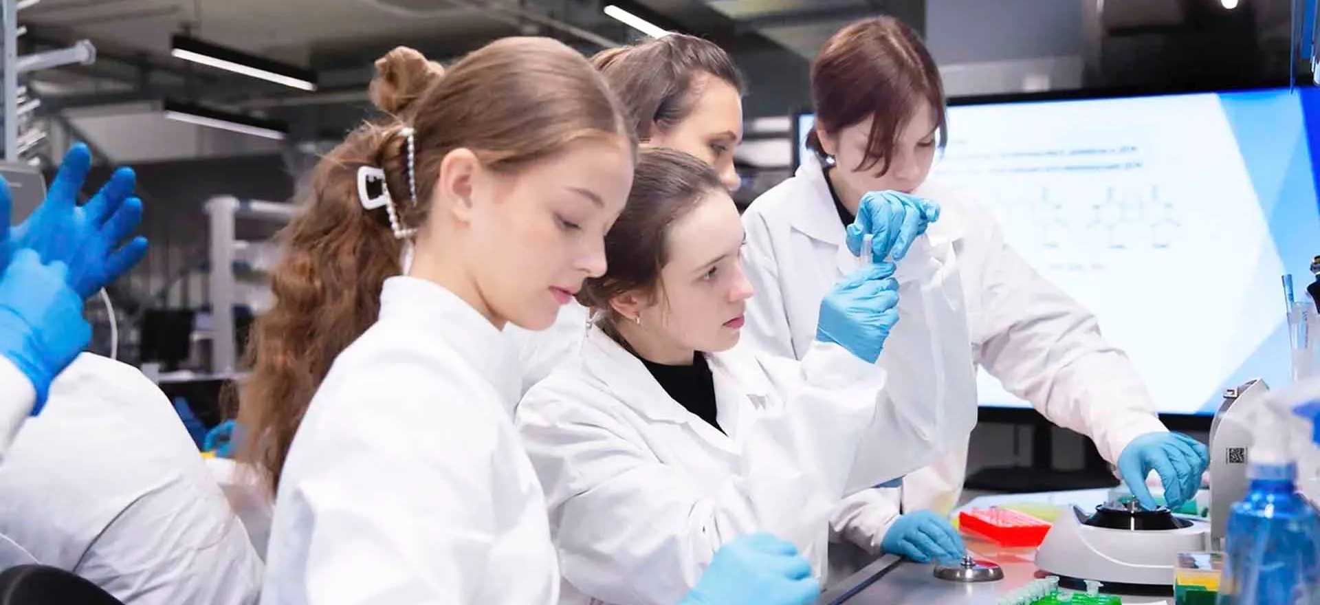 Комитет по образованию Санкт-Петербурга