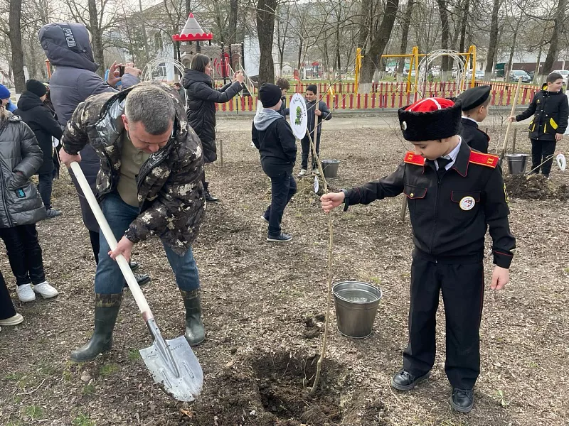 В&nbsp;парке кубанского поселка Верхнебаканский высадили саженцы деревьев