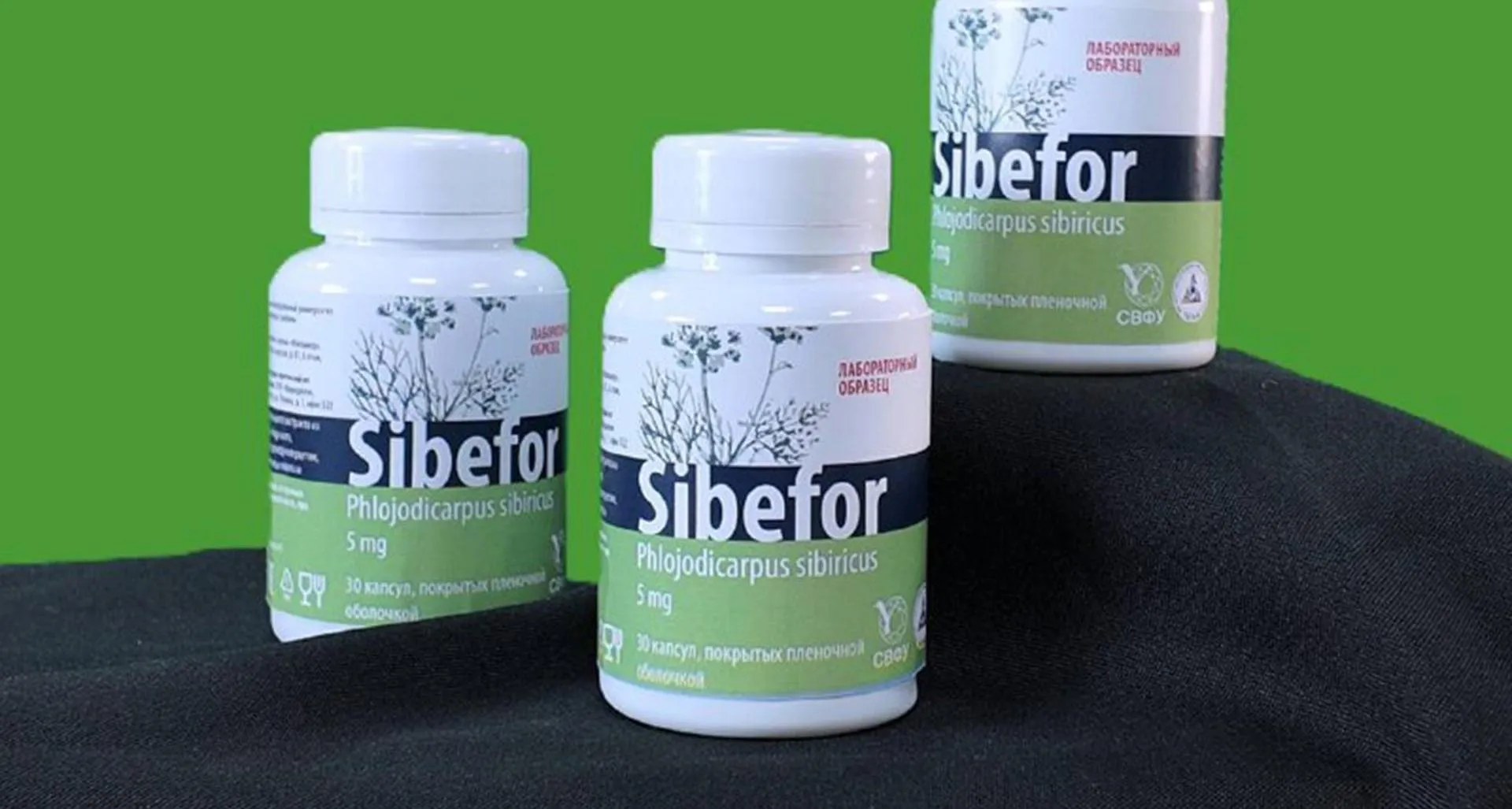 Администрация Главы и Правительства Республики Саха (Якутия)