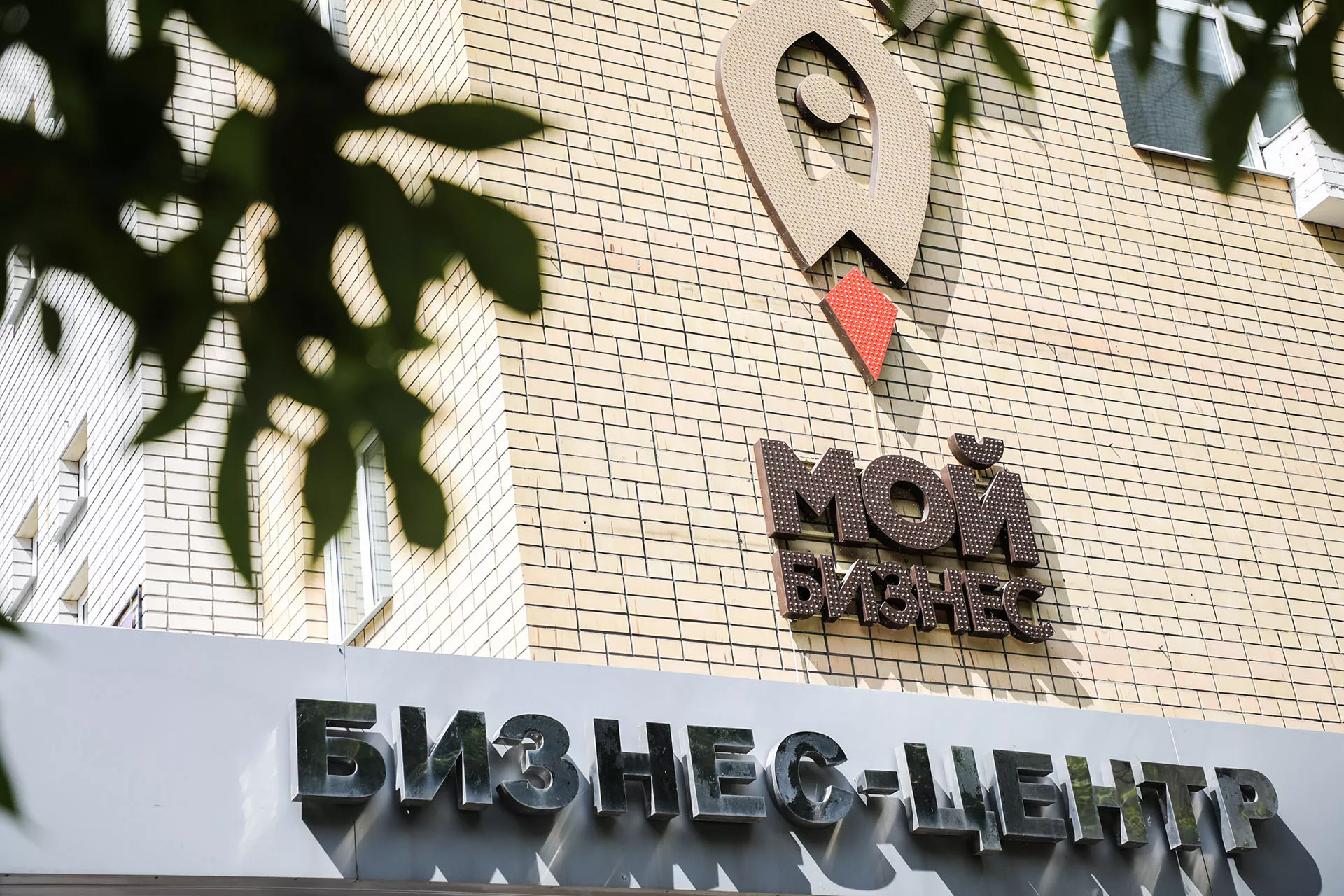 Брянский областной центр оказания услуг "Мой Бизнес"