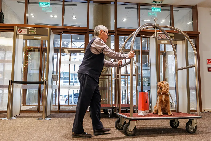 С&nbsp;собакой&nbsp;&mdash; можно: как&nbsp;улучшают инфраструктуру для&nbsp;туристов с&nbsp;питомцами