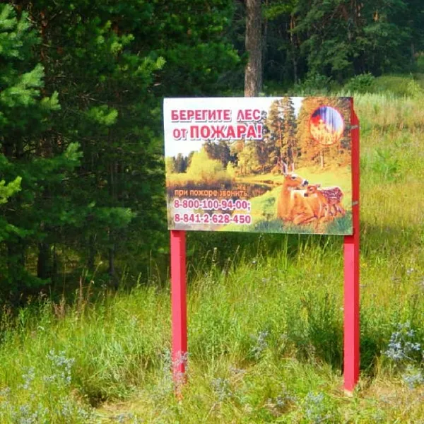 В&nbsp;Пензенской области ввели временное ограничение на&nbsp;посещение лесов