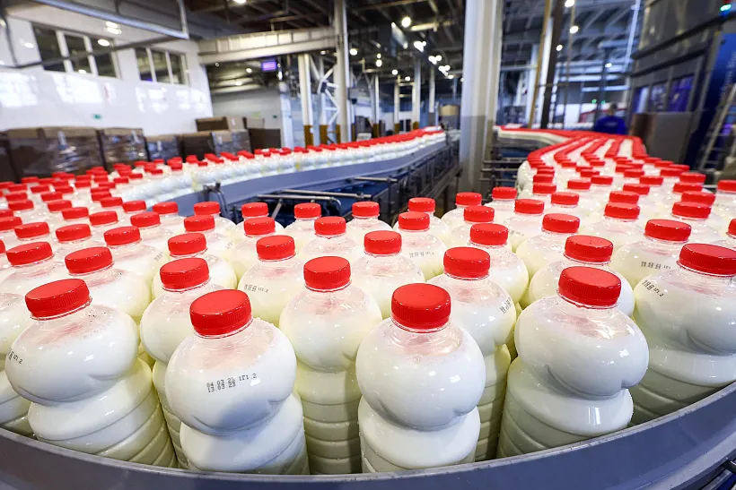 В&nbsp;Воронежской области подвели итоги производства сельхозпродукции